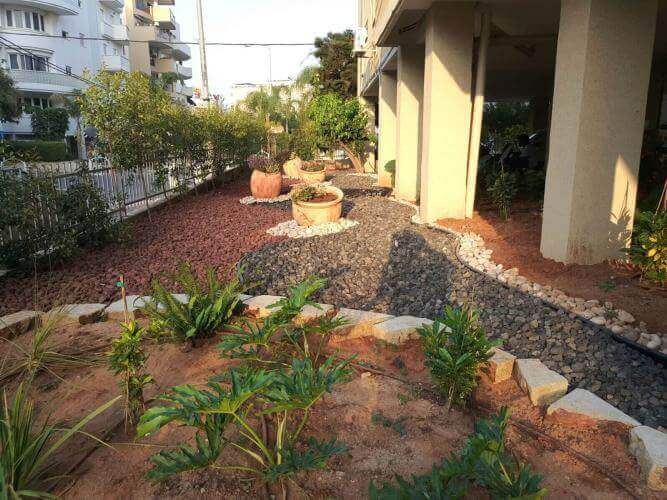 עיצוב ופיתוח גינות